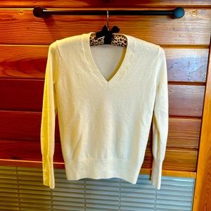 Everlane Women’s Cashmere V-Neck Sweater, XS